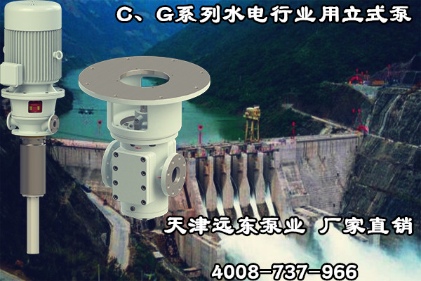 C、G系列水電行業(yè)用立式泵